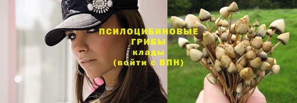МДПВ Белоозёрский